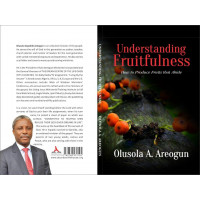 UNDERSTANDING FRUITFULNESS (E-BOOK)